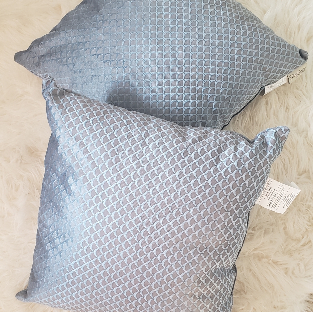 2 Throw pillows